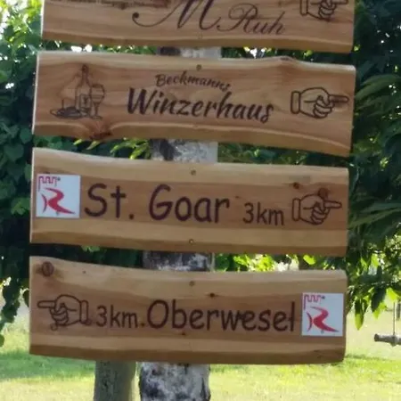 Ferienwohnung 554 - Urbar, Vis-a-vis Der Loreley * Urbar (Rhein-Hunsruck)